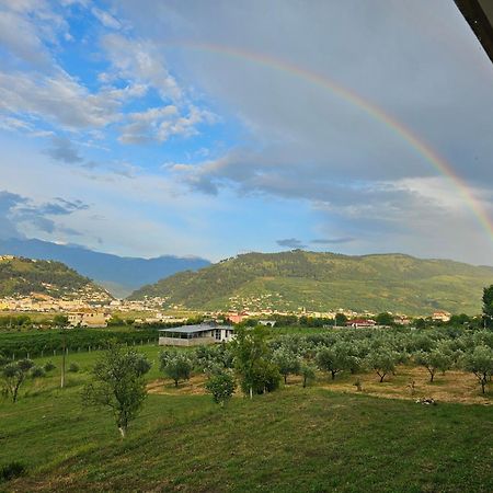 Guesthouse Iljaz Berat Exterior photo
